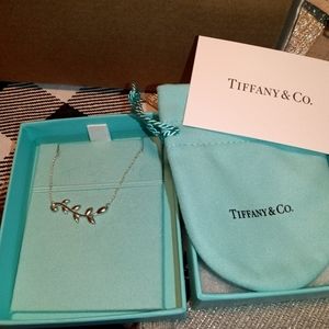 Tiffany & Co. Sterling Silver Necklace (Tiffany Blue)